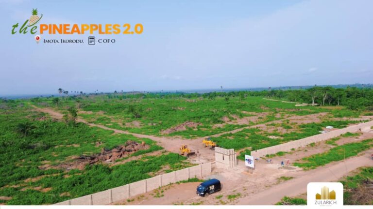 THE PINEAPPLES-pix-1